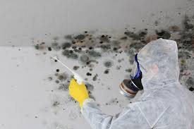 Del Rey Oaks, CA Mold Removal Services Company